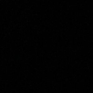 Meet your Posher, Jasmin